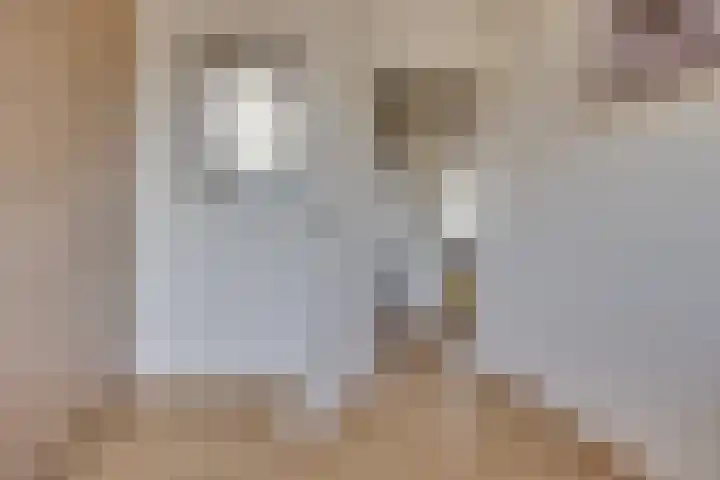 Adenauerlaan 45 Utrecht thumbnail 22