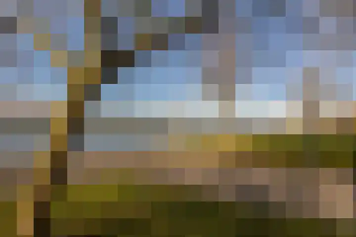 Adenauerlaan 45 Utrecht thumbnail 25