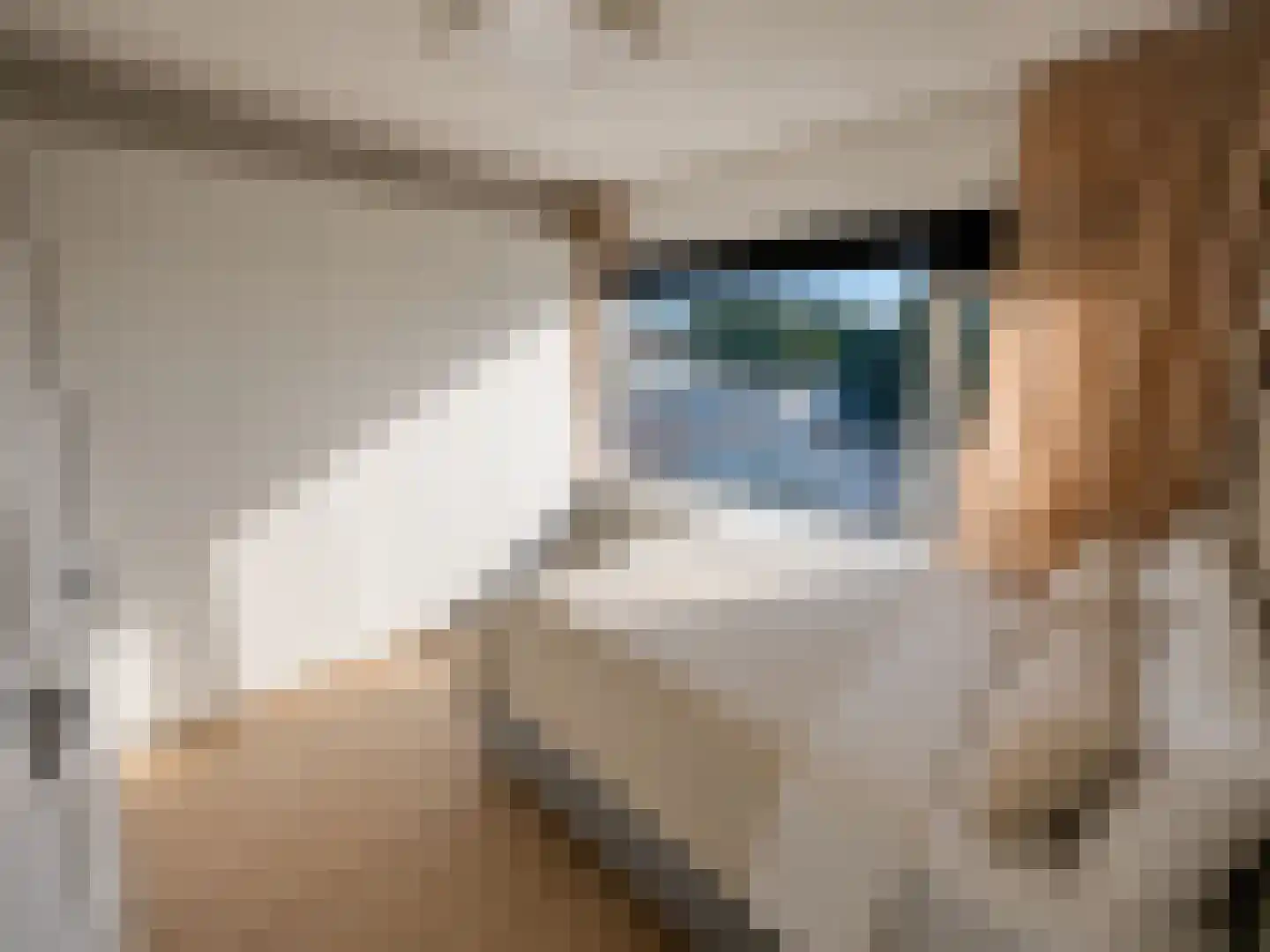 Adenauerlaan 47 Utrecht thumbnail 10