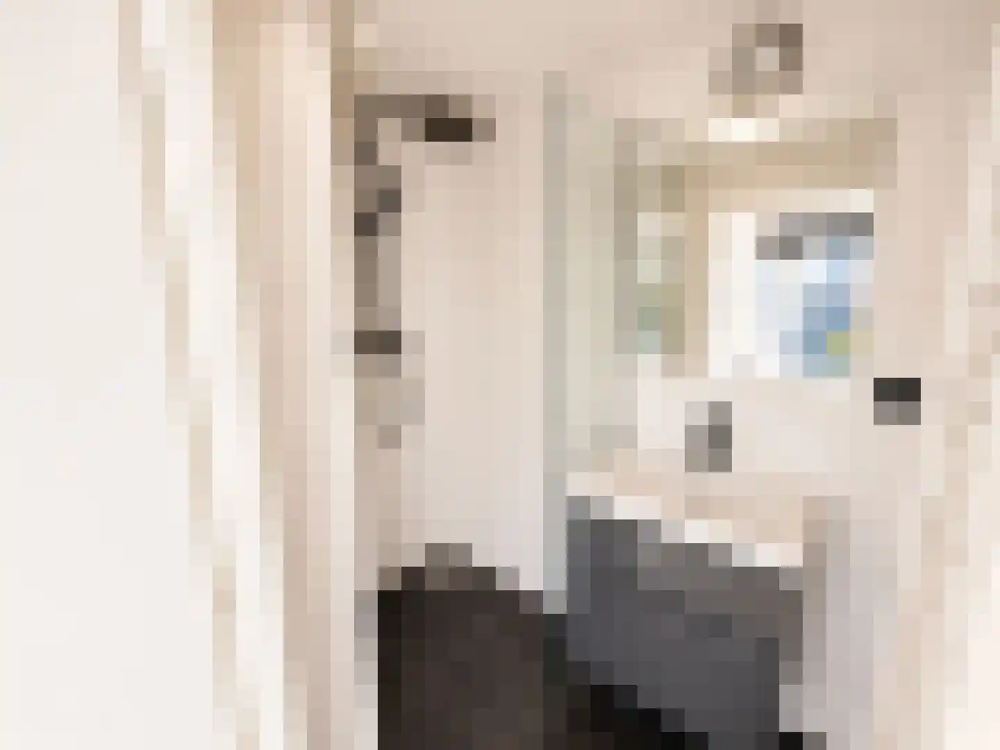 Adenauerlaan 47 Utrecht thumbnail 12