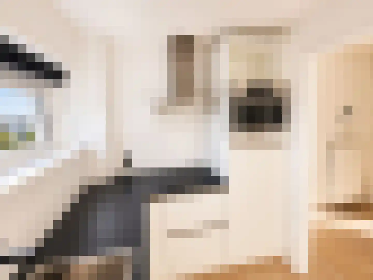 Adenauerlaan 47 Utrecht thumbnail 8
