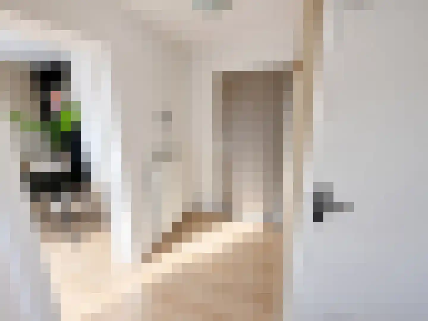 Adenauerlaan 47 Utrecht thumbnail 9