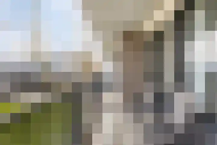 Adenauerlaan 49 Heerlen thumbnail 11