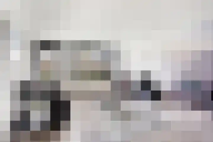 Adenauerlaan 49 Heerlen thumbnail 4
