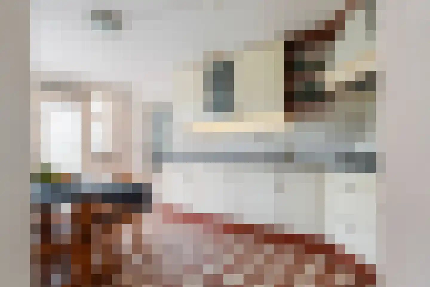 Adenauerlaan 49 Vlijmen thumbnail 10
