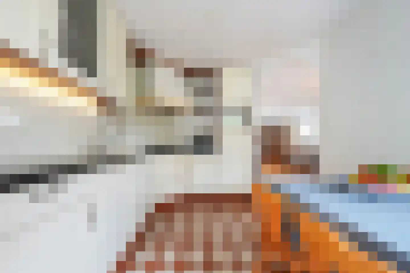 Adenauerlaan 49 Vlijmen thumbnail 12