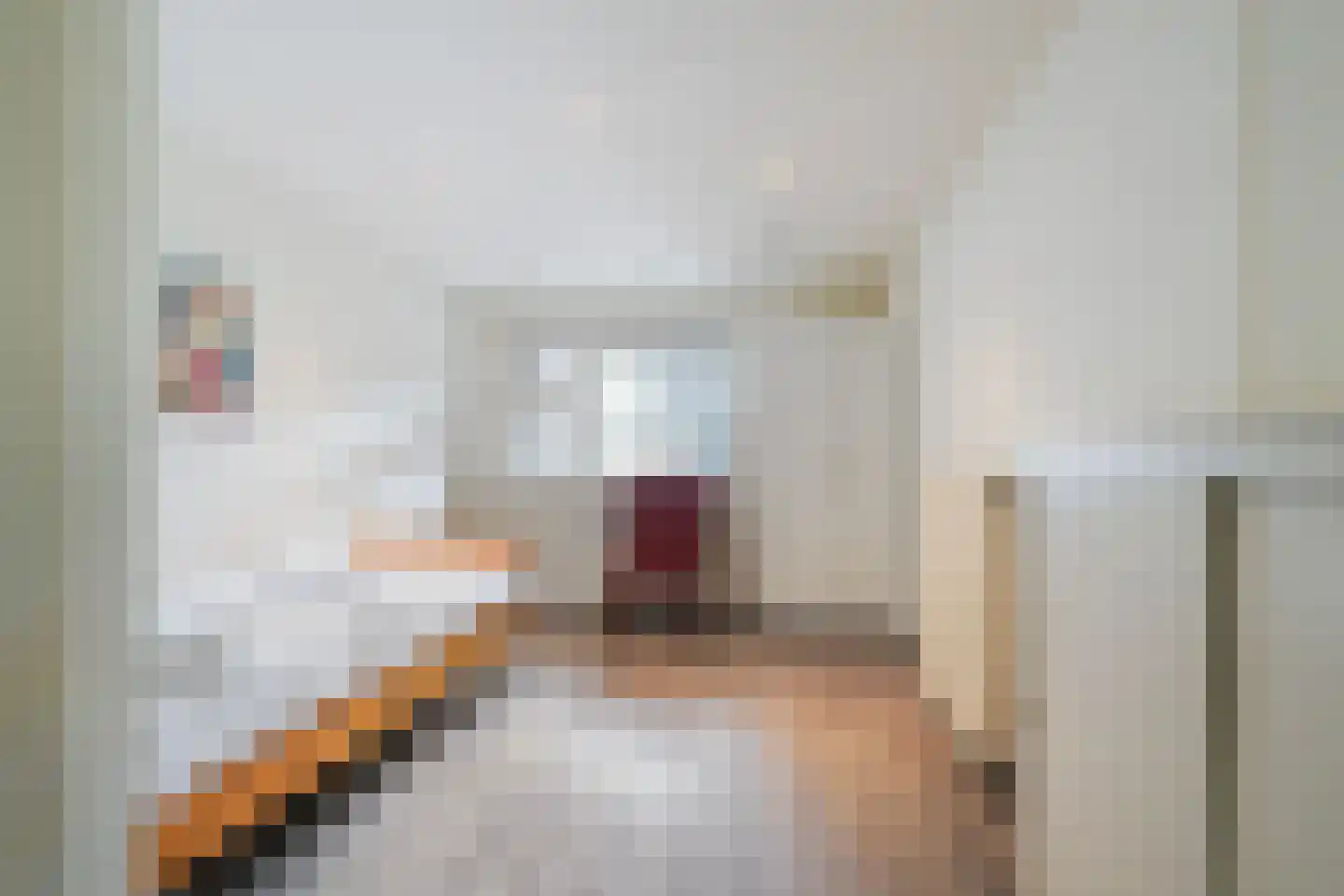 Adenauerlaan 49 Vlijmen thumbnail 14