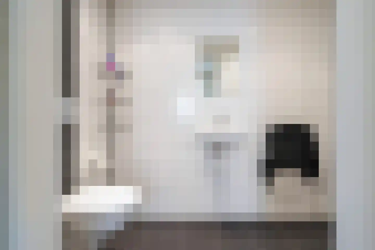 Adenauerlaan 49 Vlijmen thumbnail 17
