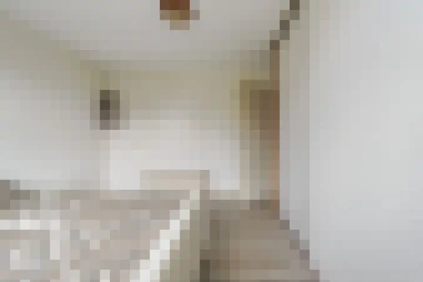 Adenauerlaan 49 Vlijmen thumbnail 25