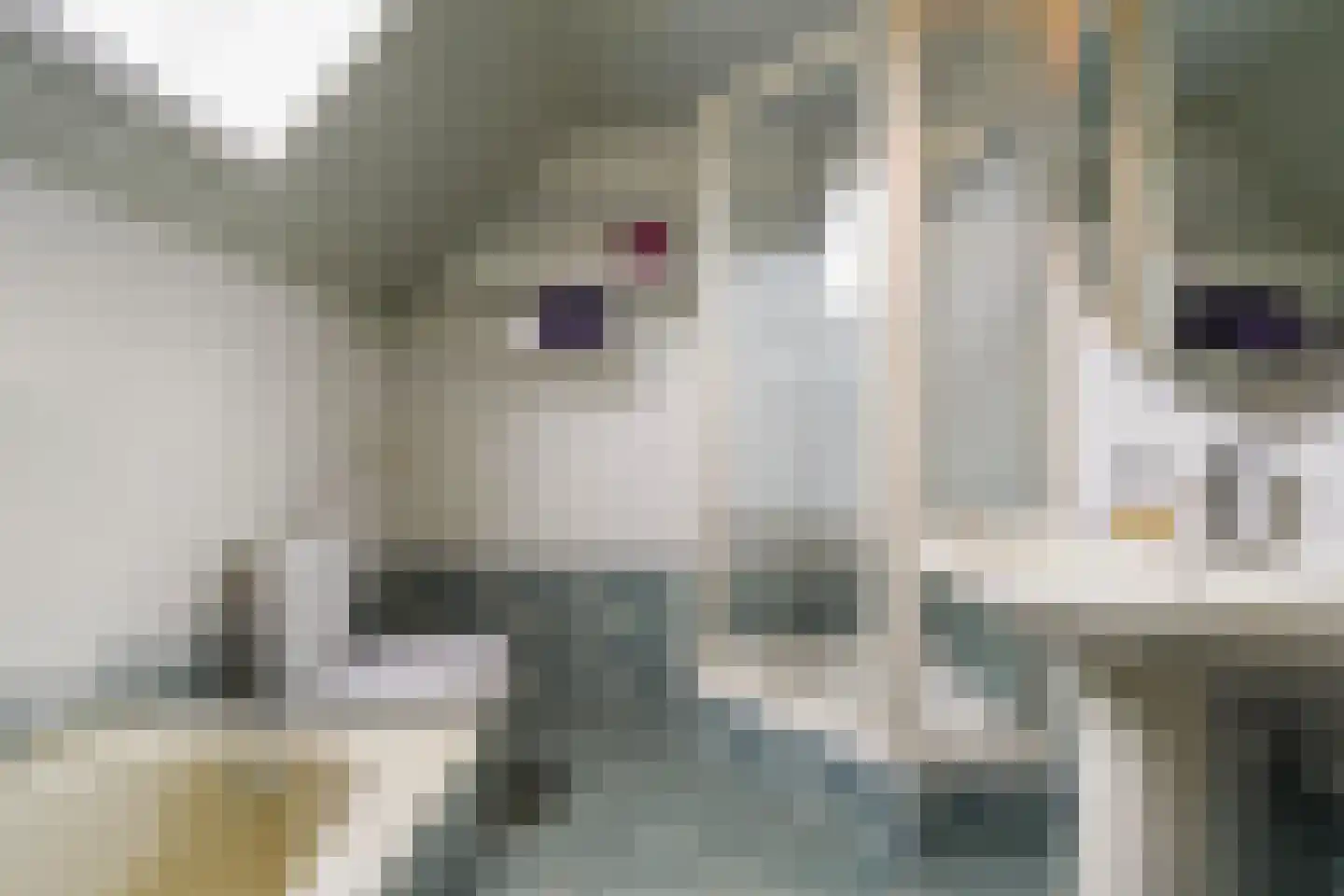 Adenauerlaan 49 Vlijmen thumbnail 33