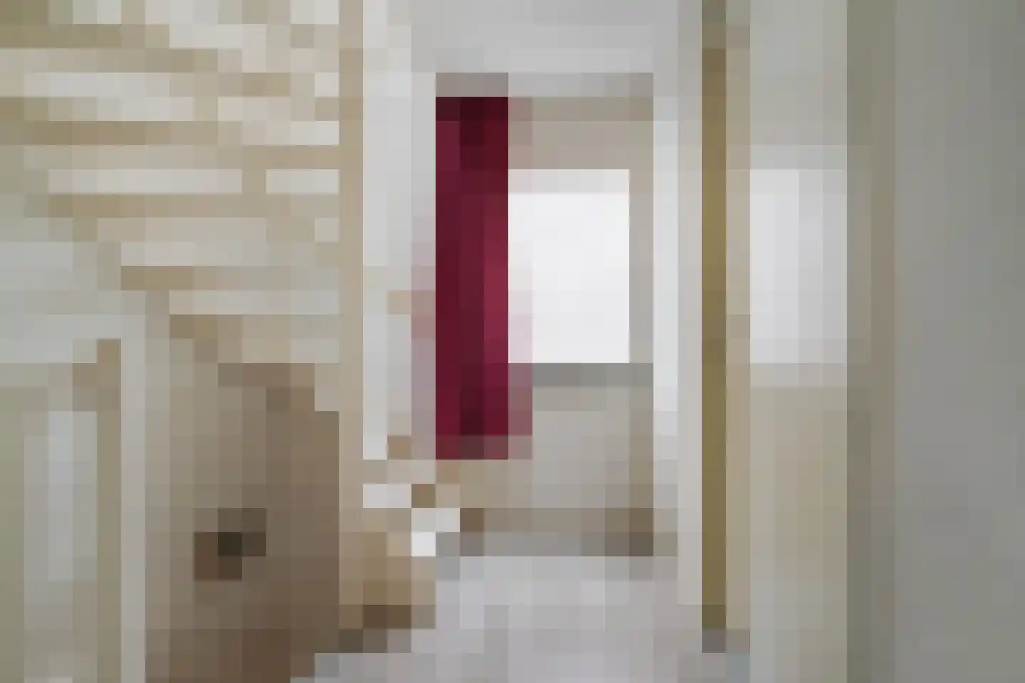 Adenauerlaan 49 Vlijmen thumbnail 35