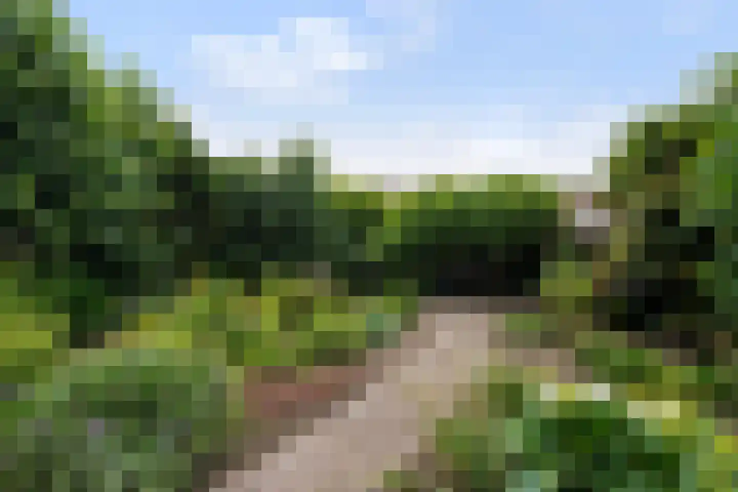 Adenauerlaan 49 Vlijmen thumbnail 41