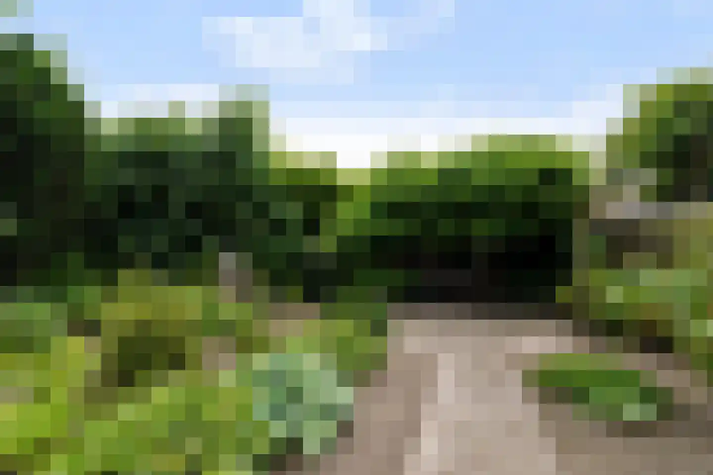 Adenauerlaan 49 Vlijmen thumbnail 42