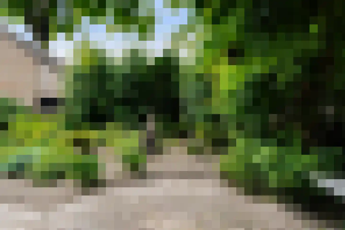 Adenauerlaan 49 Vlijmen thumbnail 43