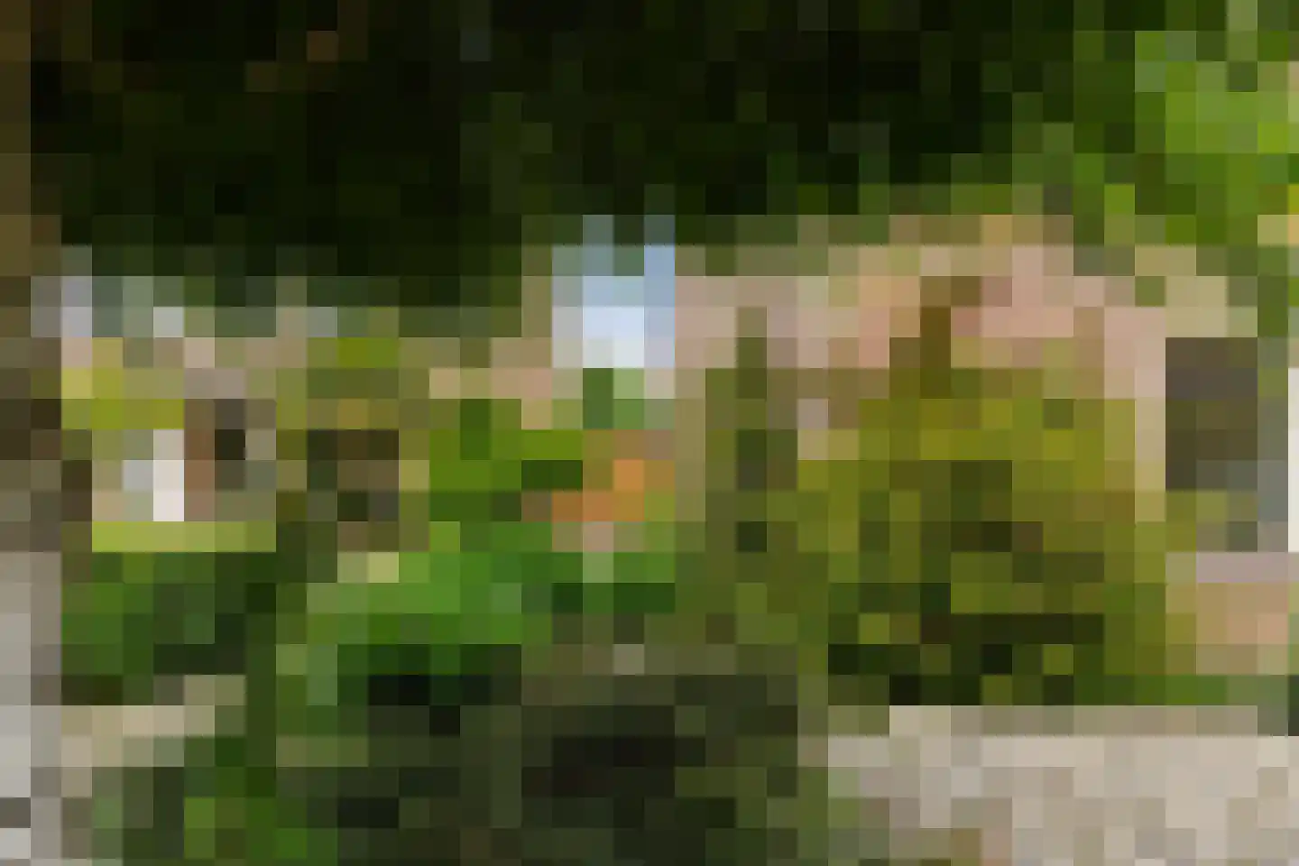 Adenauerlaan 49 Vlijmen thumbnail 46