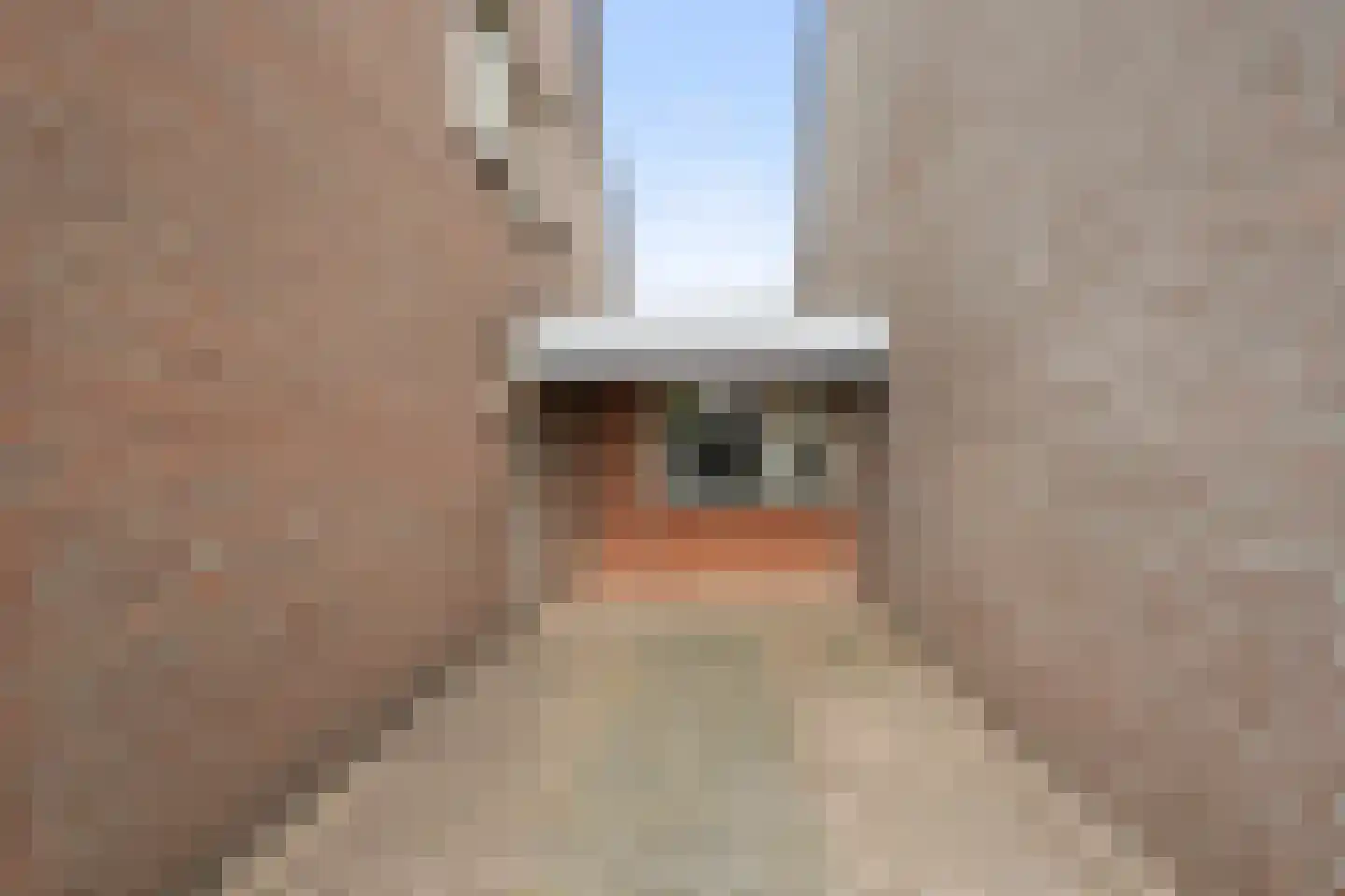 Adenauerlaan 49 Vlijmen thumbnail 51