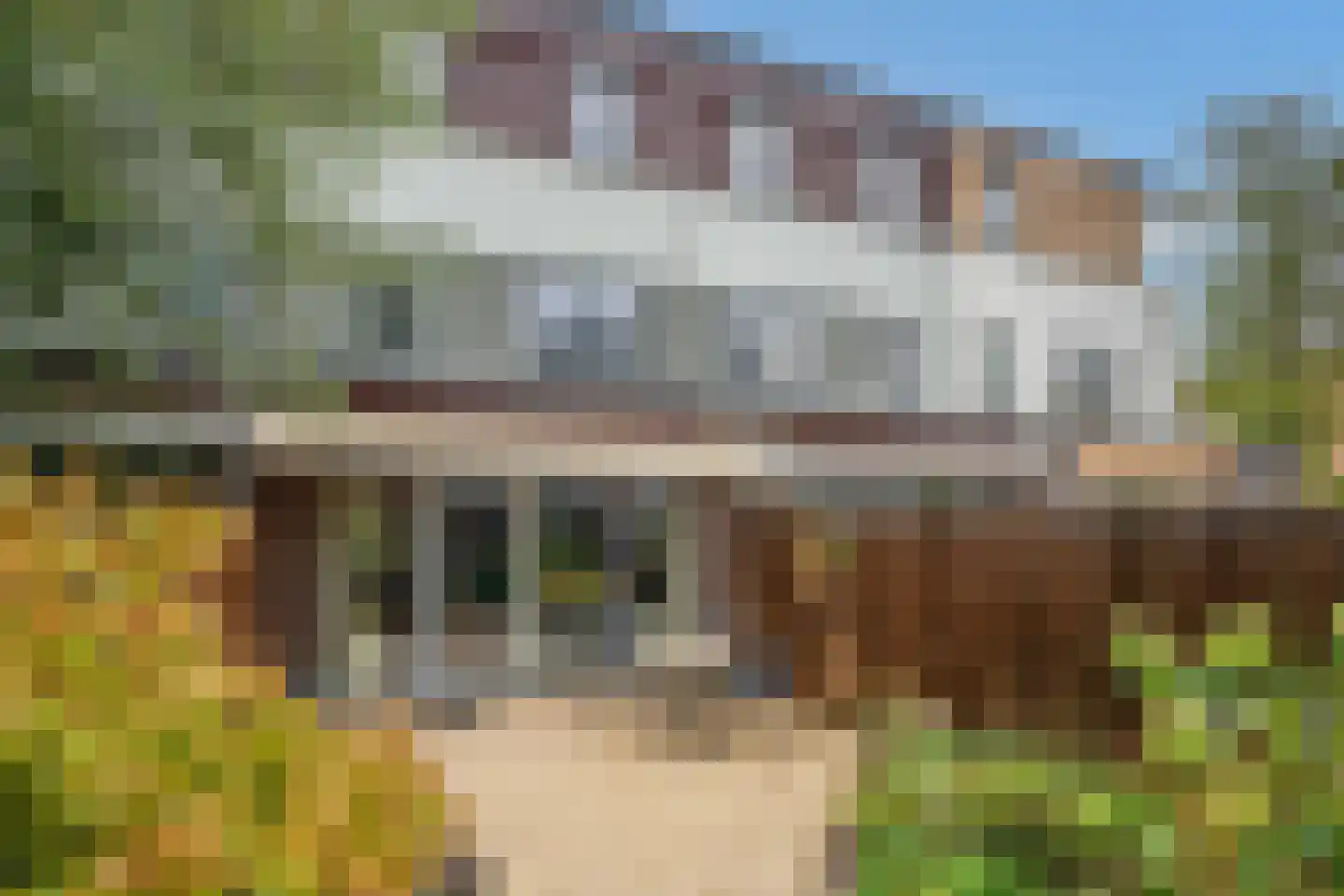Adenauerlaan 5 Delft thumbnail 17