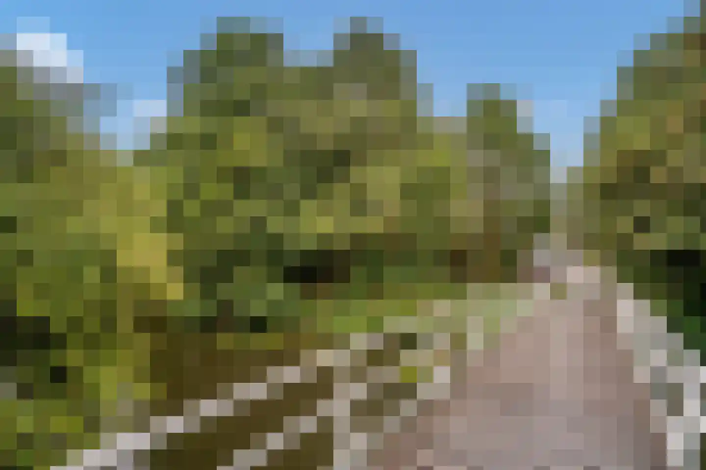 Adenauerlaan 5 Delft thumbnail 32