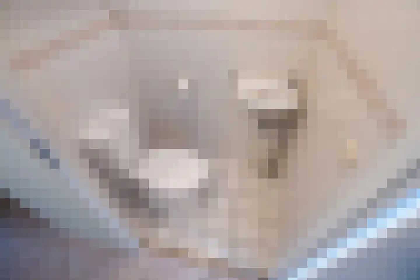 Adenauerlaan 5 Delft thumbnail 7