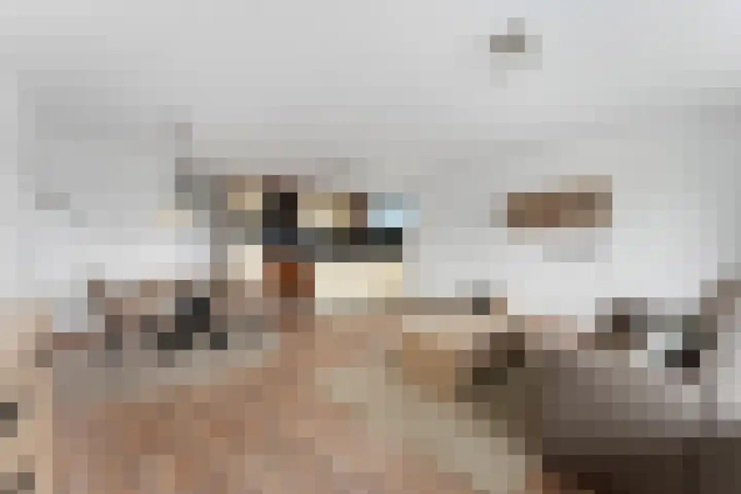 Adenauerlaan 65 Heerlen thumbnail 6