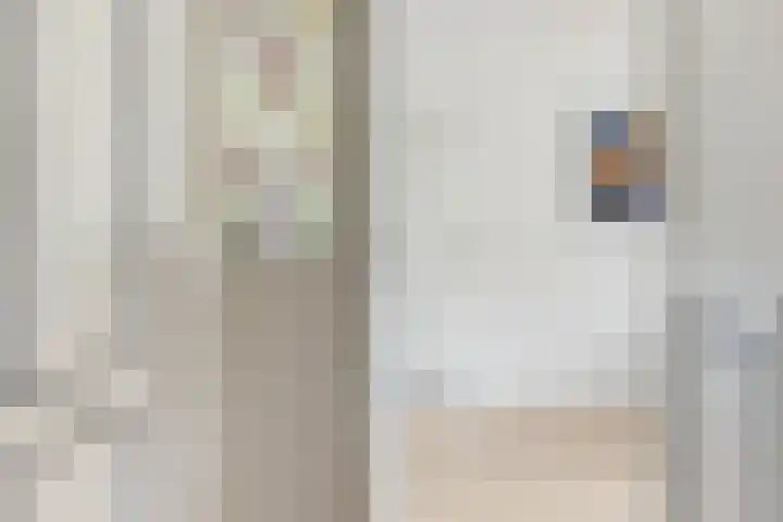 Adenauerlaan 85 Utrecht thumbnail 11