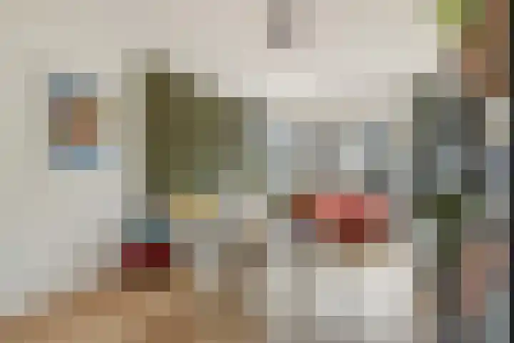 Adenauerlaan 85 Utrecht thumbnail 13