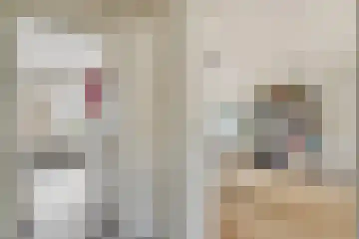 Adenauerlaan 85 Utrecht thumbnail 25