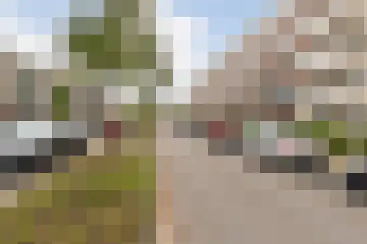 Adenauerlaan 85 Utrecht thumbnail 34