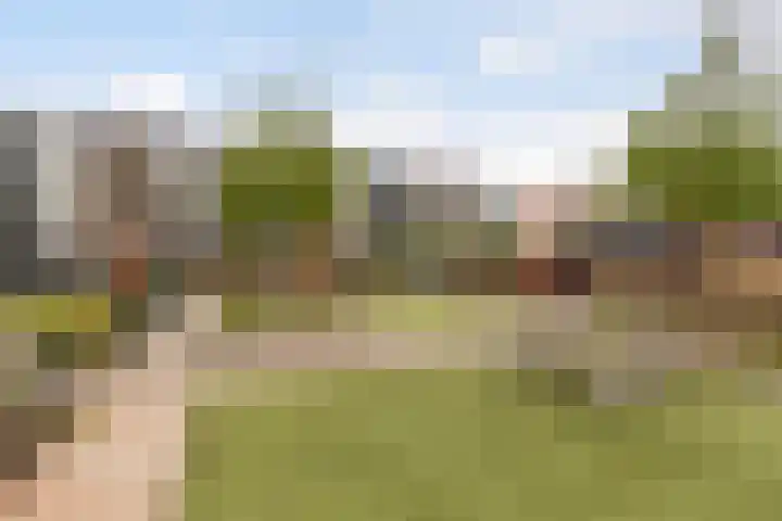 Adenauerlaan 85 Utrecht thumbnail 41