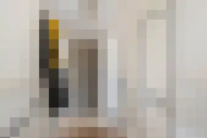 Adenauerlaan 85 Utrecht thumbnail 9