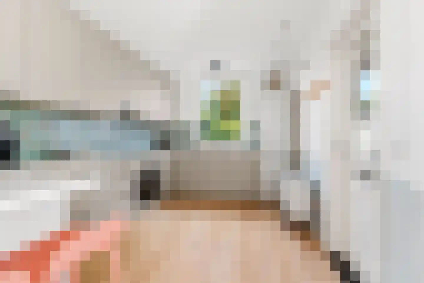Adenauerlaan 94 Vlijmen thumbnail 10
