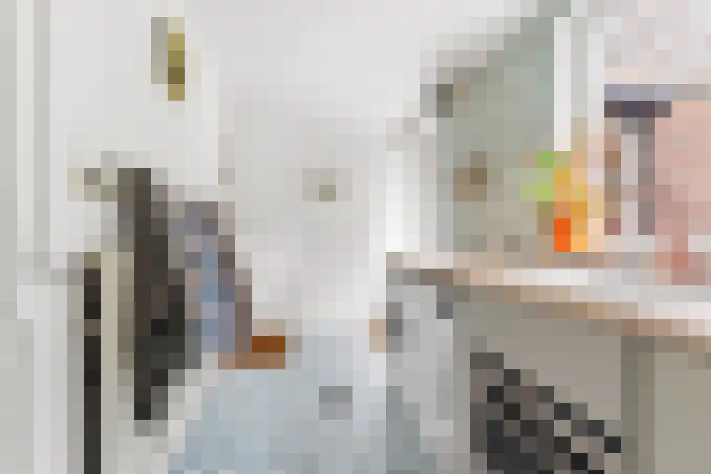 Adenauerlaan 94 Vlijmen thumbnail 16