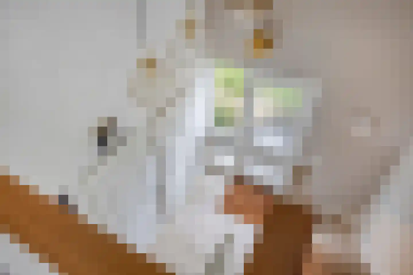 Adenauerlaan 94 Vlijmen thumbnail 20