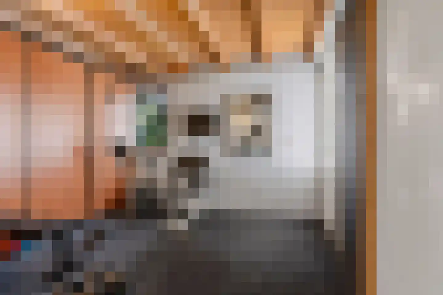Adenauerlaan 94 Vlijmen thumbnail 25