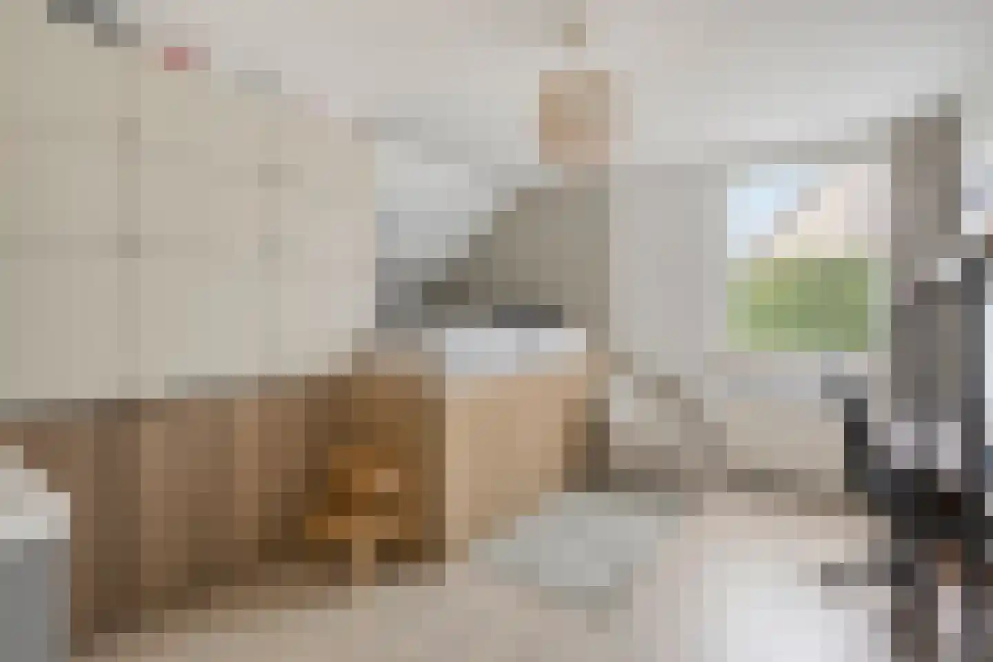 Adenauerlaan 94 Vlijmen thumbnail 27