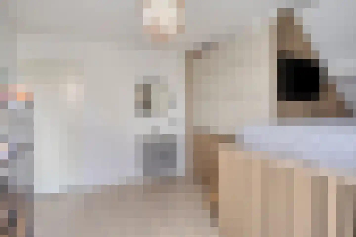 Adenauerlaan 94 Vlijmen thumbnail 28