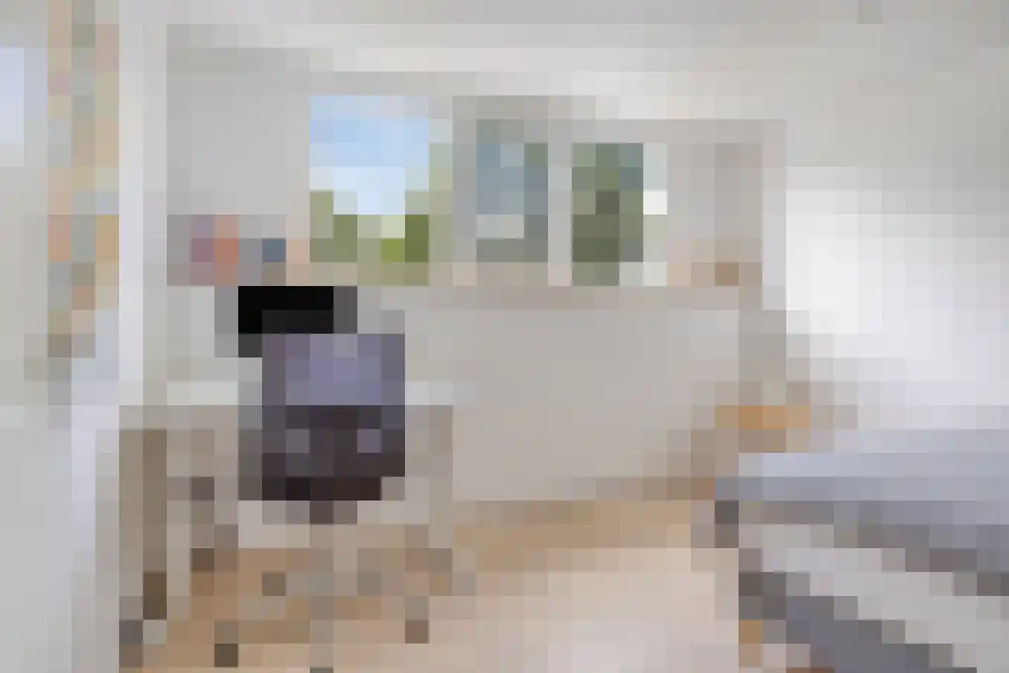 Adenauerlaan 94 Vlijmen thumbnail 30