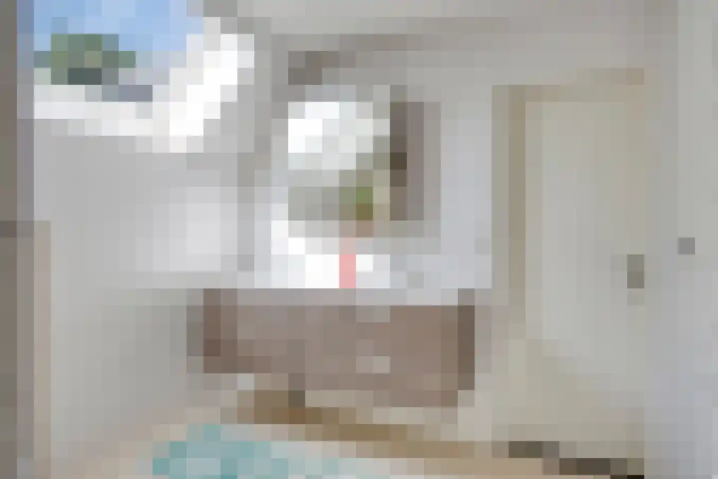 Adenauerlaan 94 Vlijmen thumbnail 32