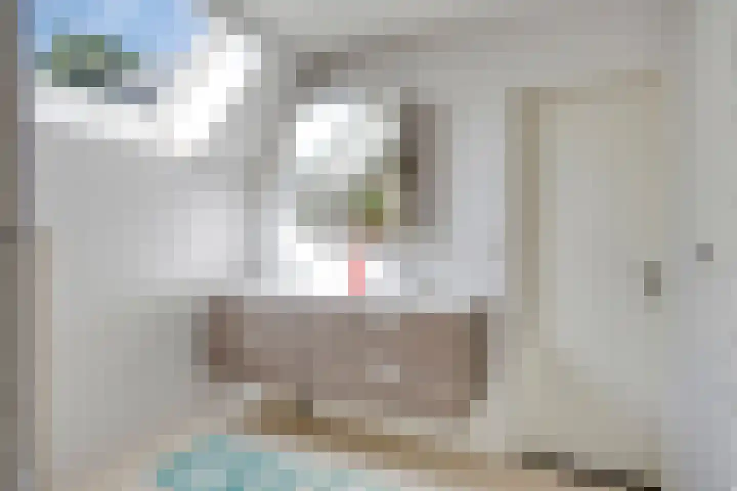Adenauerlaan 94 Vlijmen thumbnail 32