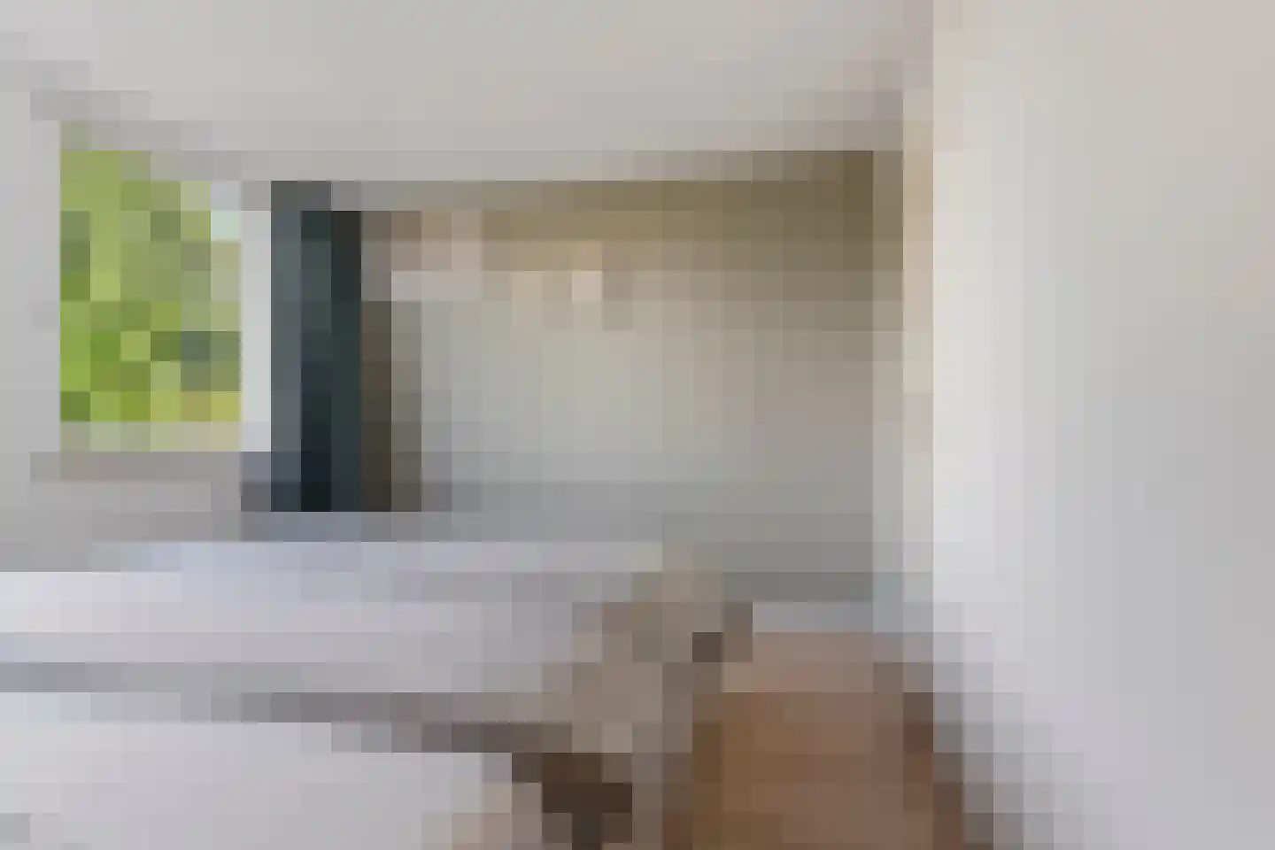 Adenauerlaan 94 Vlijmen thumbnail 36