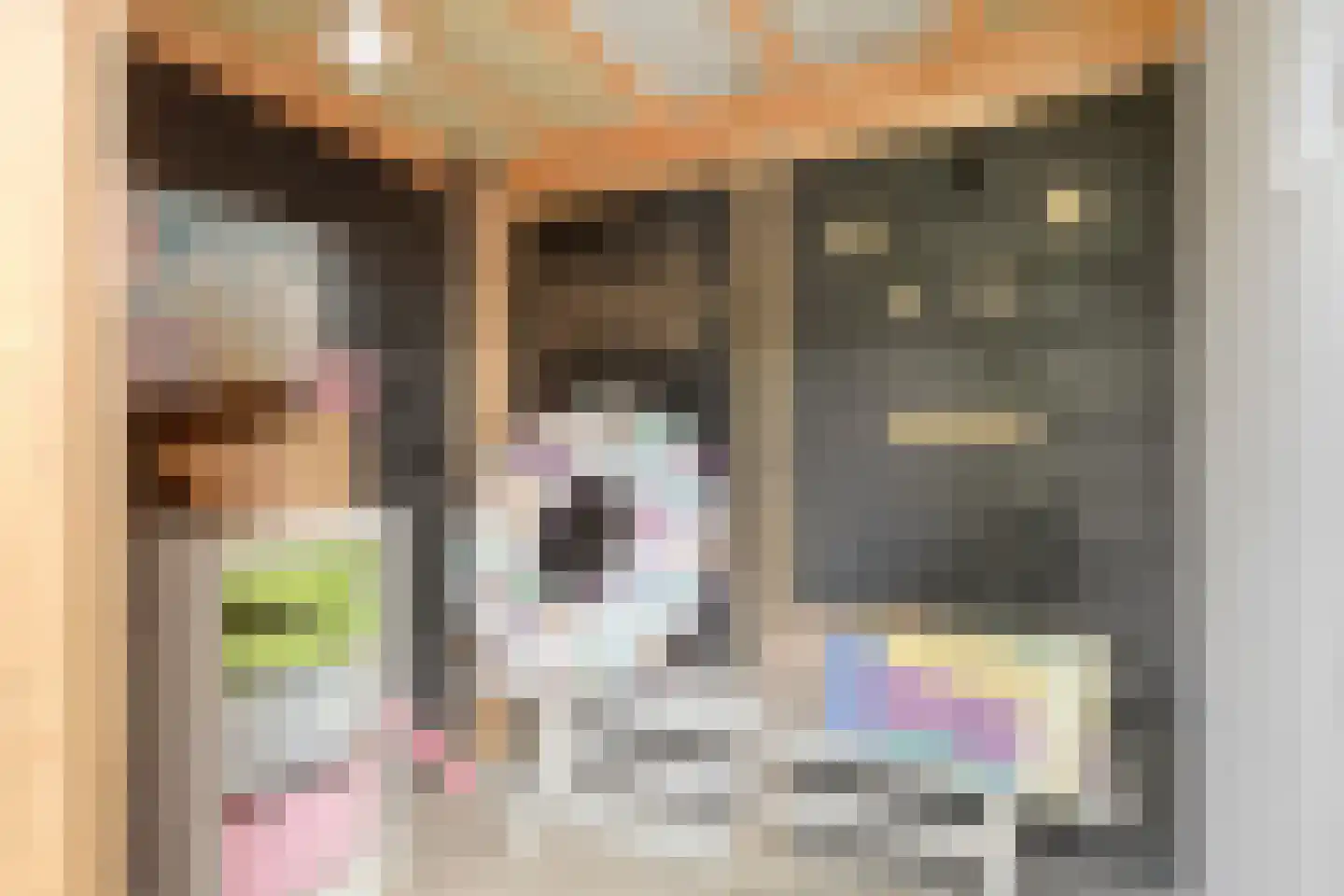 Adenauerlaan 94 Vlijmen thumbnail 38