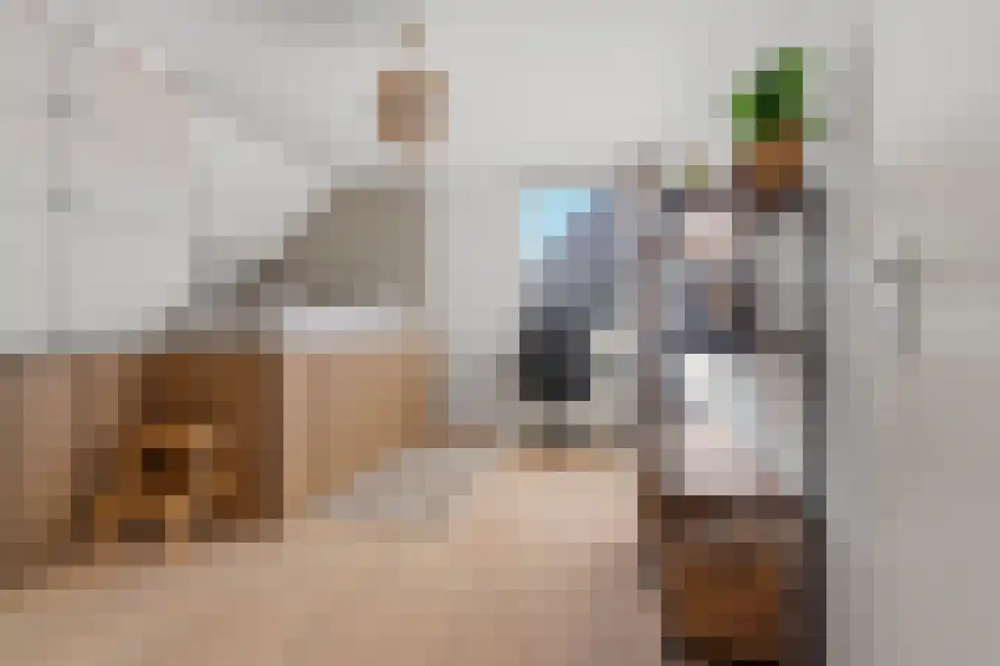 Adenauerlaan 94 Vlijmen thumbnail 39