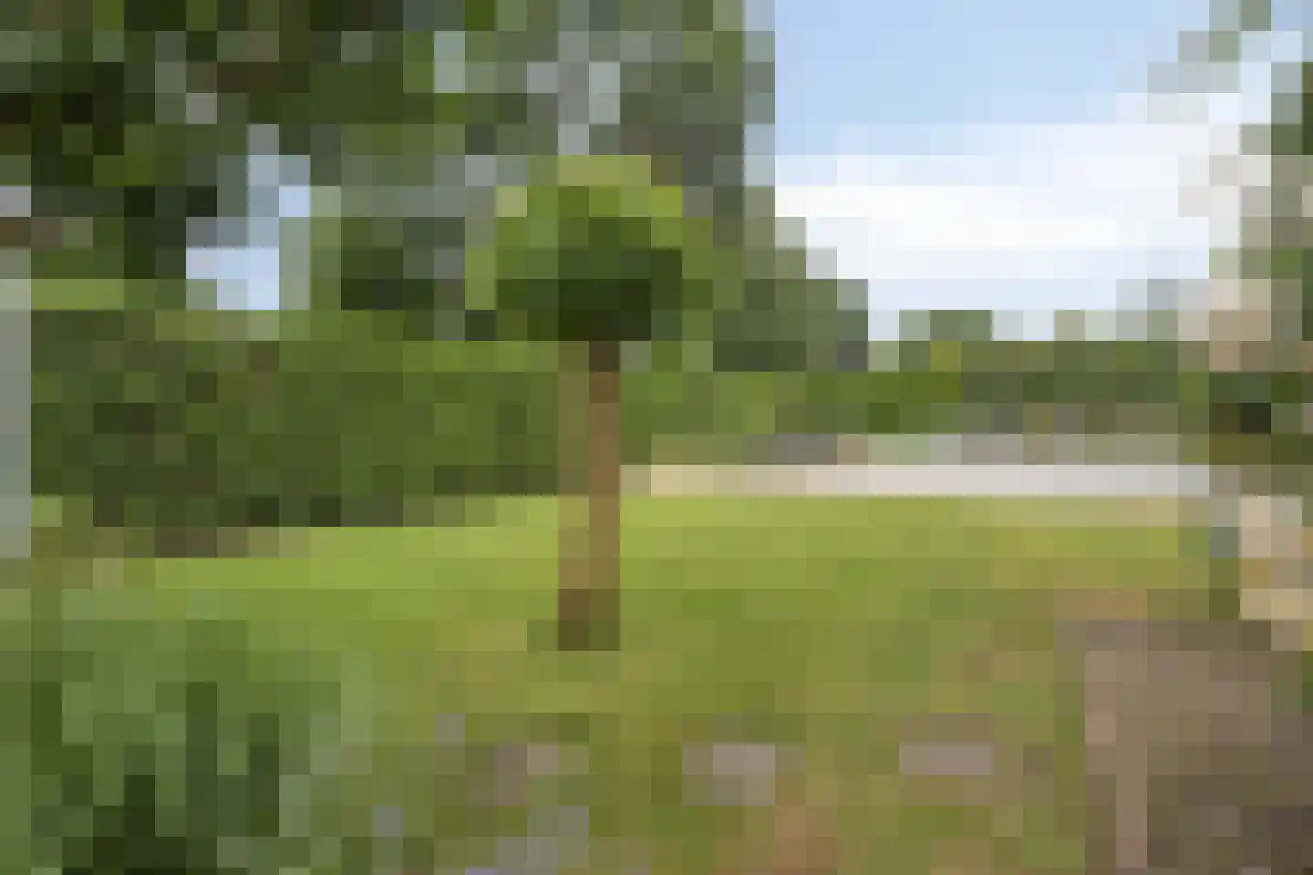 Adenauerlaan 94 Vlijmen thumbnail 45