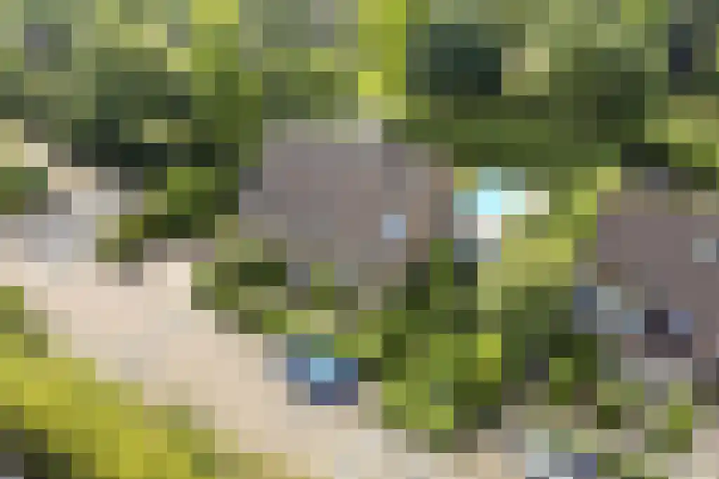 Adenauerlaan 94 Vlijmen thumbnail 47