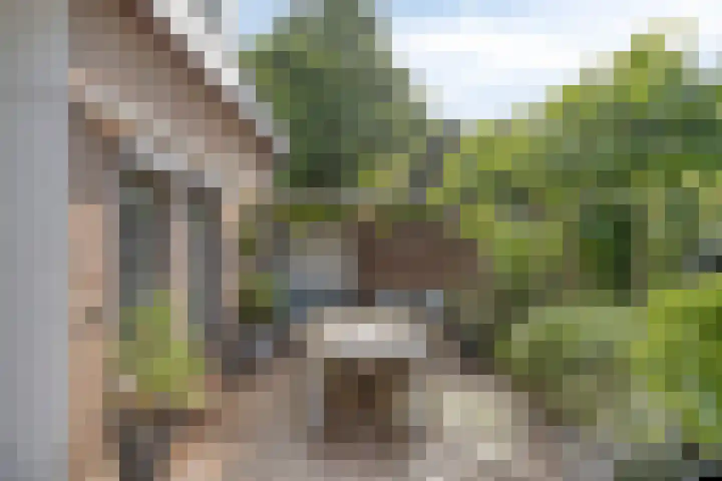 Adenauerlaan 94 Vlijmen thumbnail 47