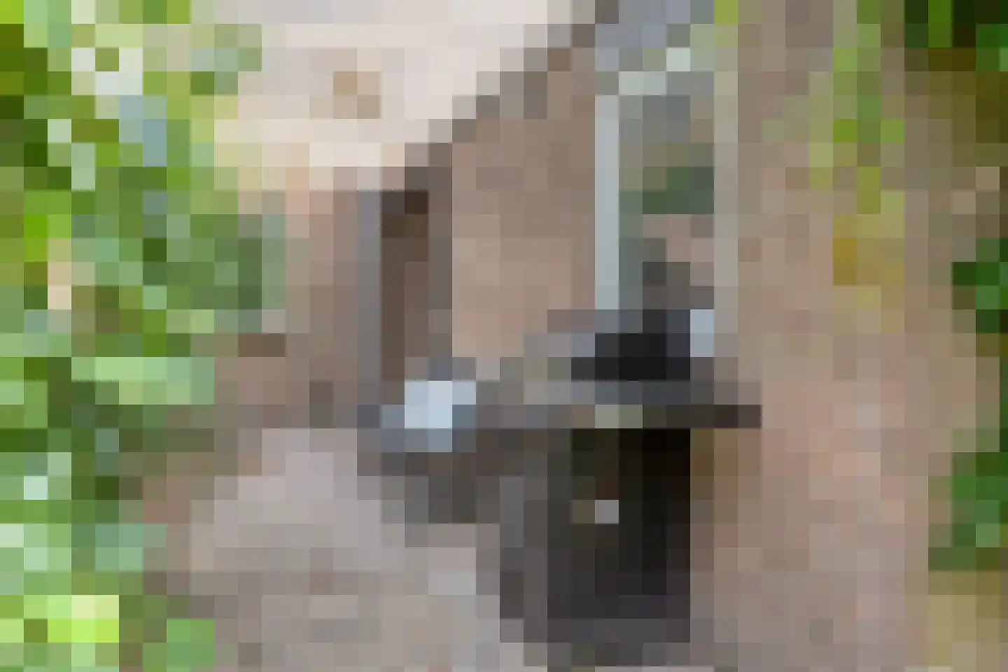 Adenauerlaan 94 Vlijmen thumbnail 49
