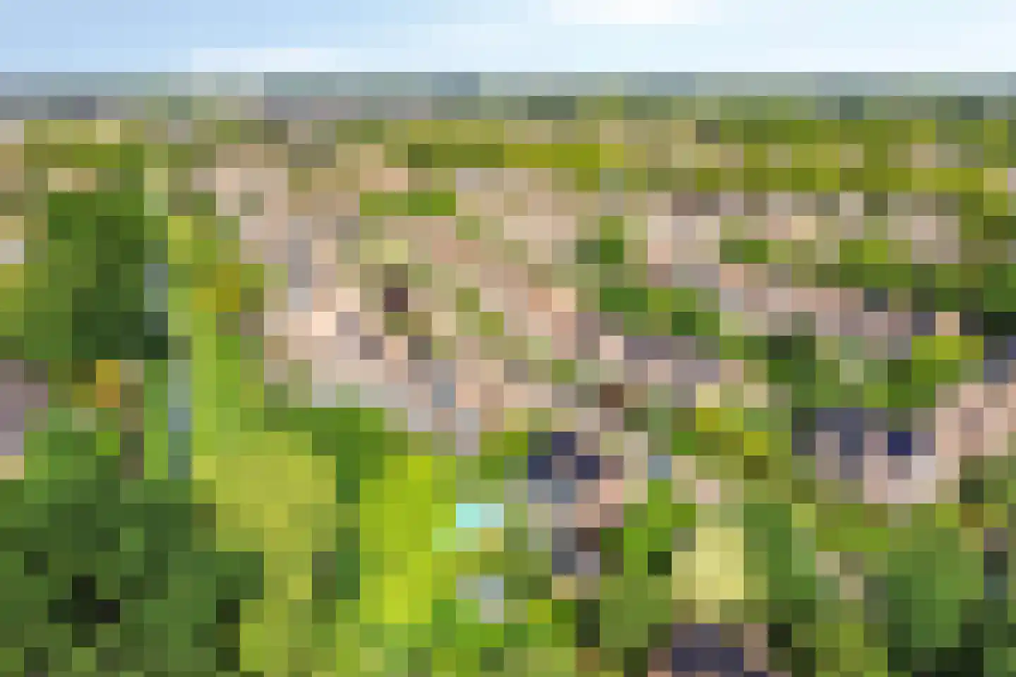 Adenauerlaan 94 Vlijmen thumbnail 58