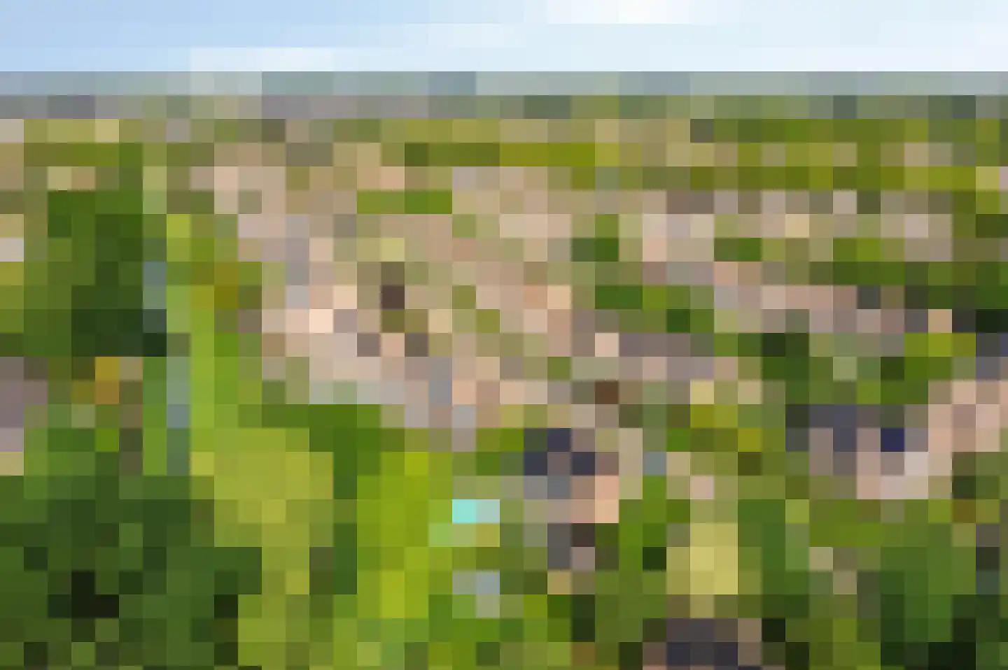 Adenauerlaan 94 Vlijmen thumbnail 58
