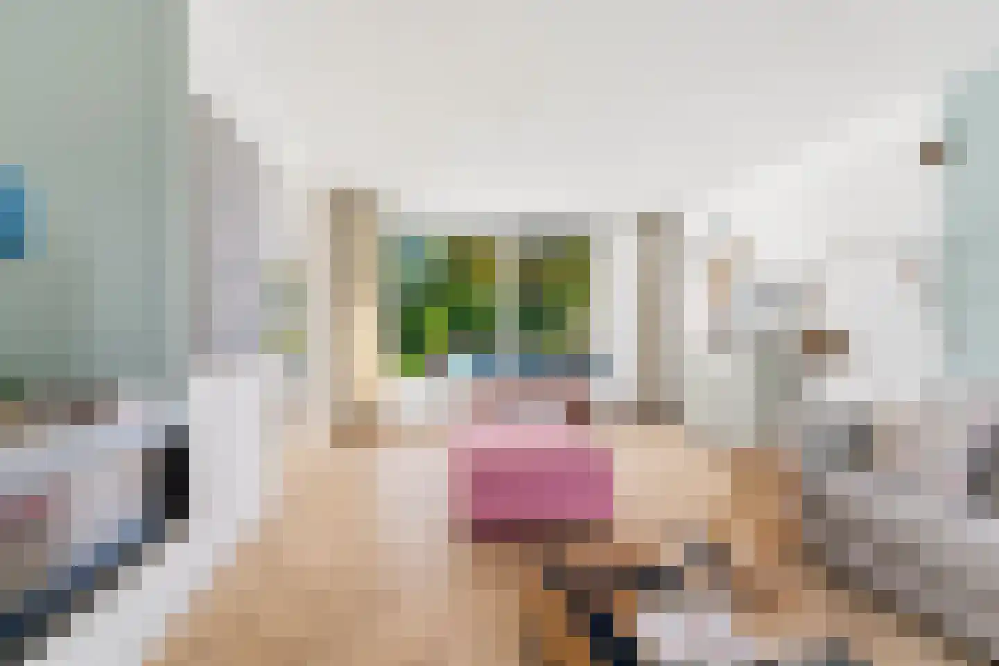 Adenauerlaan 94 Vlijmen thumbnail 6