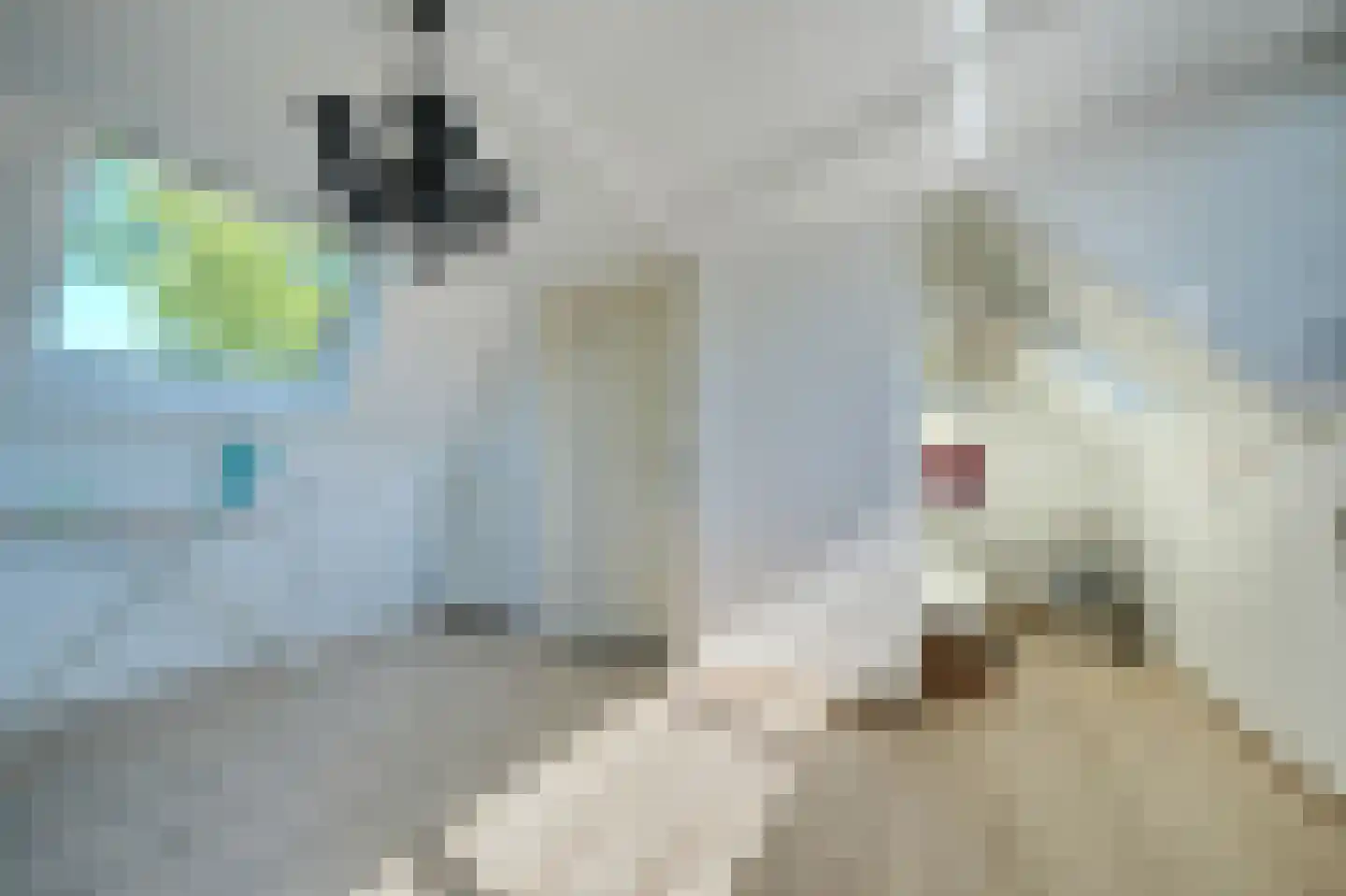 Adenauersingel 15 Ede thumbnail 25